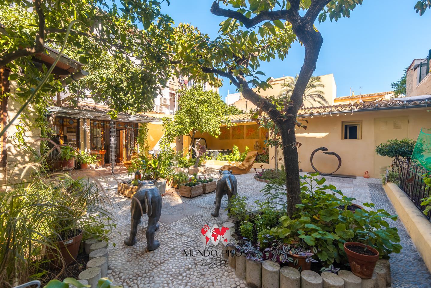 Ground floor with no roof terrace, in the Plaza de Toros area, Palma de Mallorca, Balearic Islands.