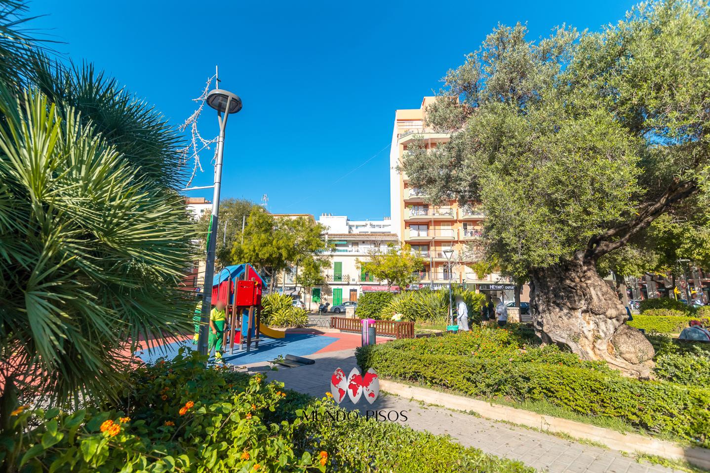 Ground floor with no roof terrace, in the Plaza de Toros area, Palma de Mallorca, Balearic Islands.