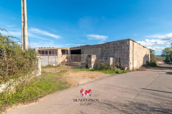 Rustic farm in Santa Margalida, Son Alegre, Mallorca, Balearic Islands