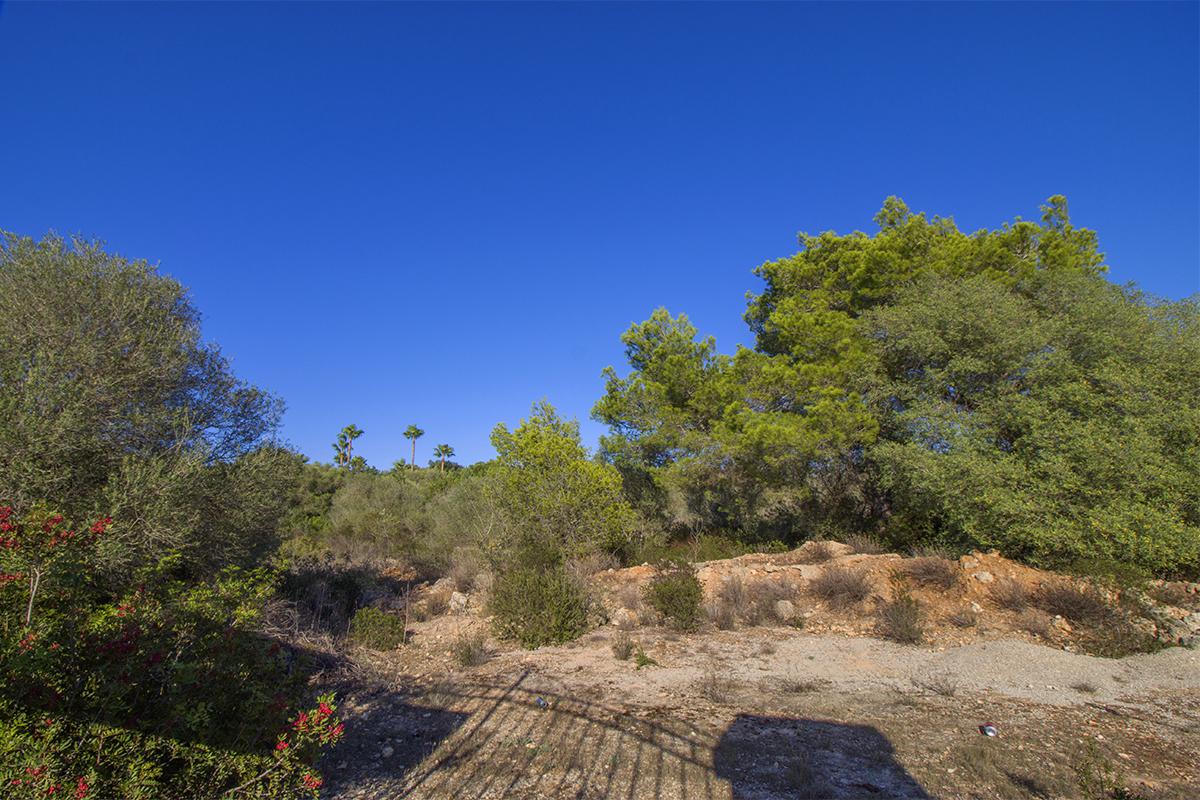 Terreno urbanizable en S’Aranjassa, Palma de Mallorca, Illes Balears