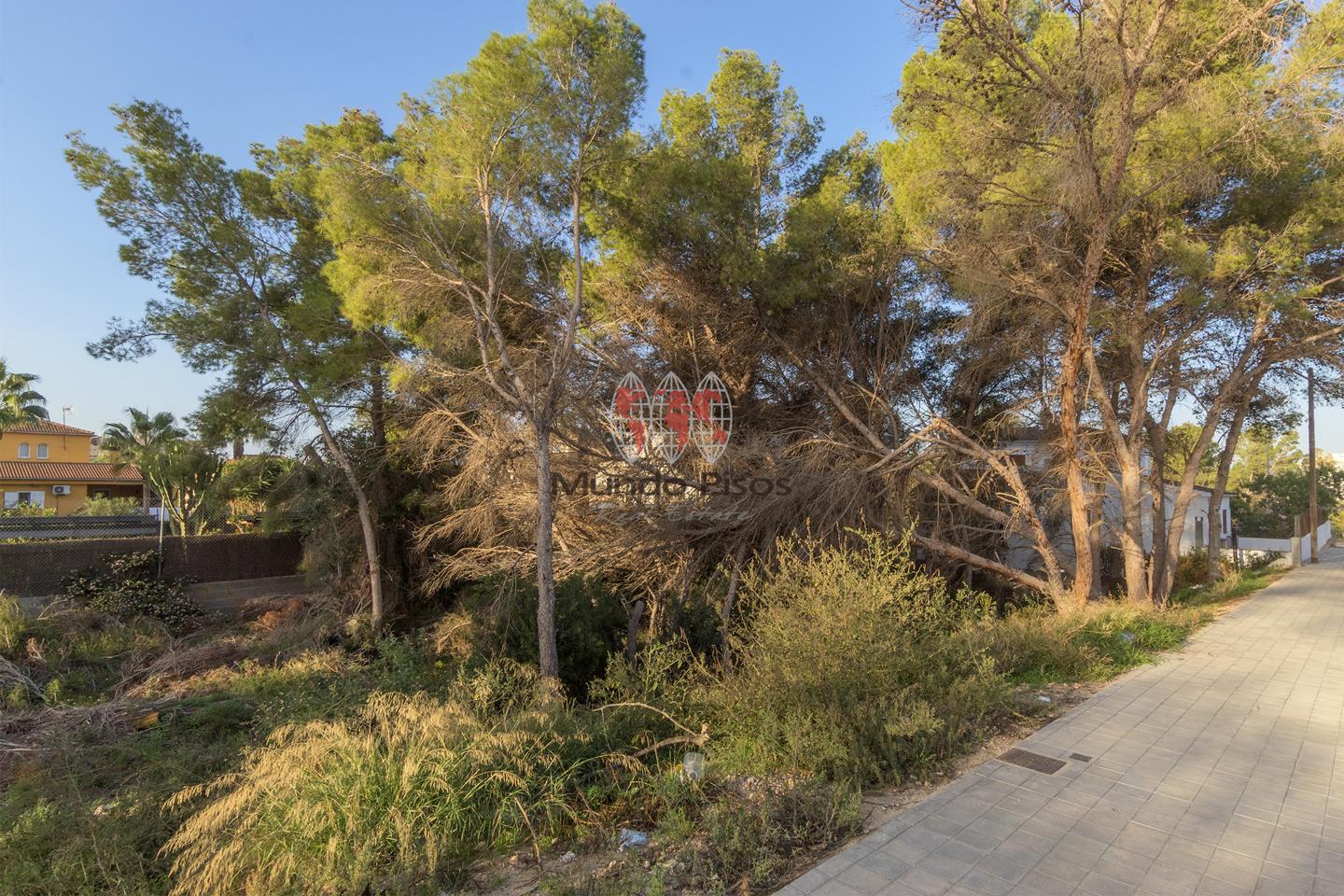 Plot of Land in El Arenal, Palma de Mallorca, Balearic Islands