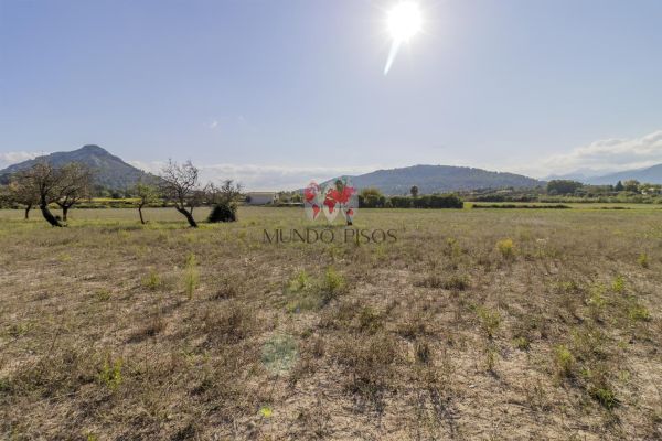 Terreno rústico en Alcudia, Mallorca, Illes Balears