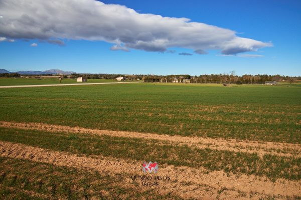 Terreno urbanizable en Maria de la Salut, Mallorca, Illes Balears