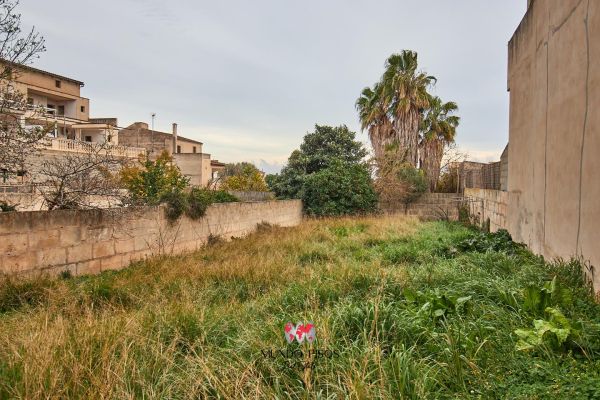 Urbanizable plot in Vilafranca de Bonany, Mallorca, Balearic Islands