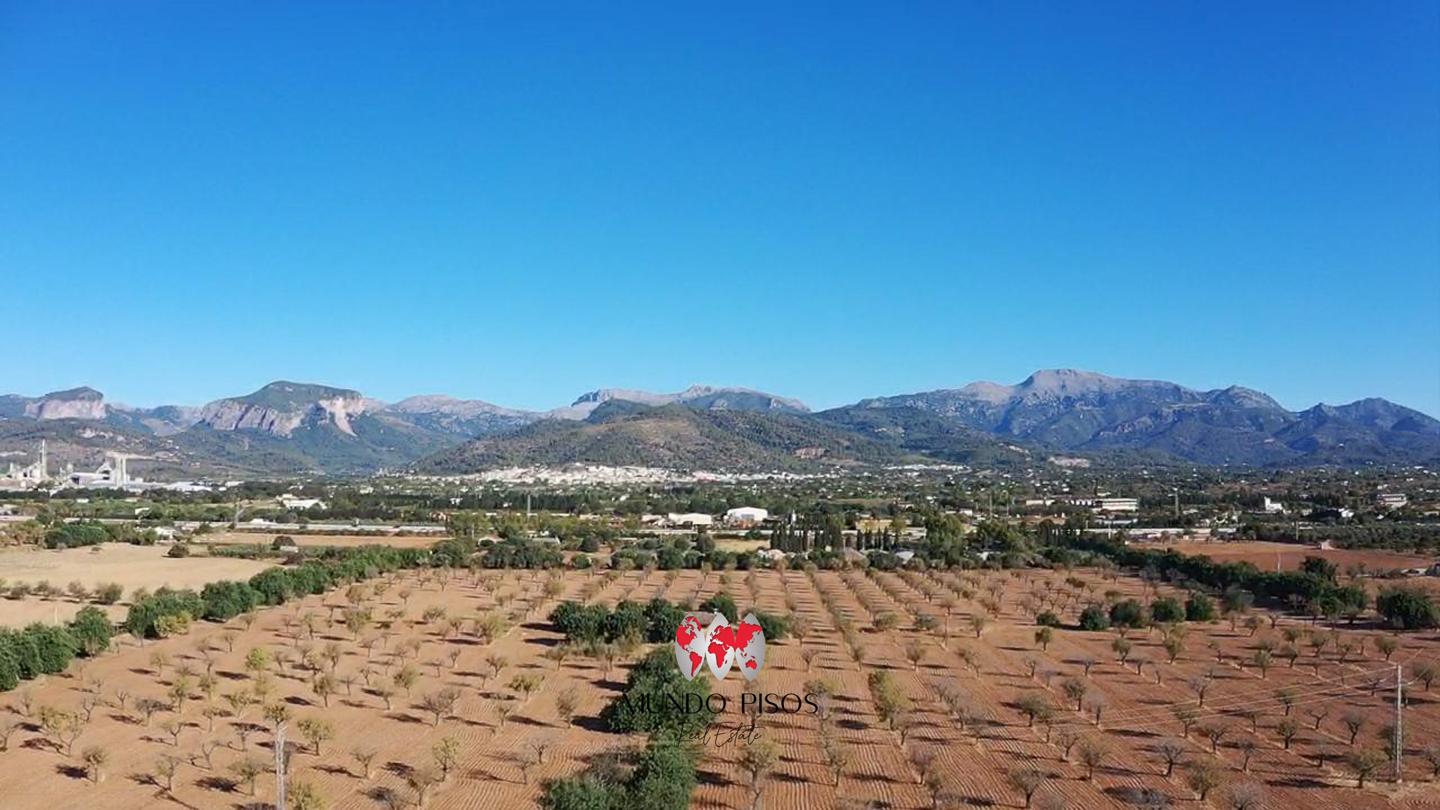 Finca con viñedo y proyecto de villa entre Binissalem e Inca, Mallorca, Islas Baleares