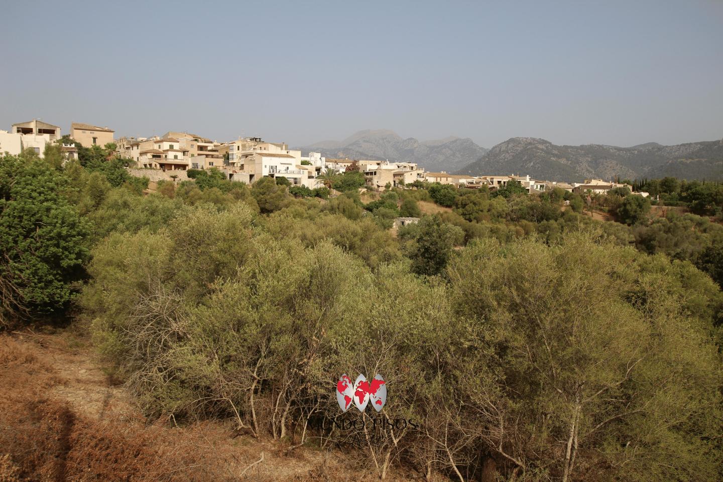 Urban plot in Campanet, Mallorca, Balearic Islands