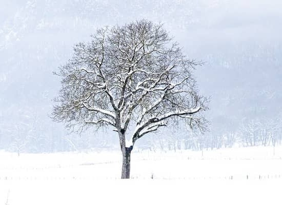 Mejoras en el hogar para alegrar el invierno