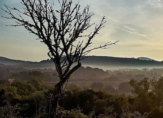 Vender casa en Mallorca: guía para maximizar el beneficio