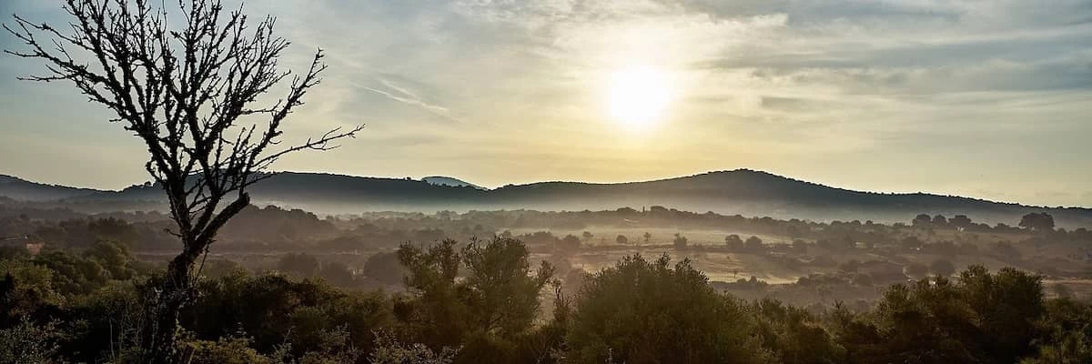 Vender casa en Mallorca: guía para maximizar el beneficio