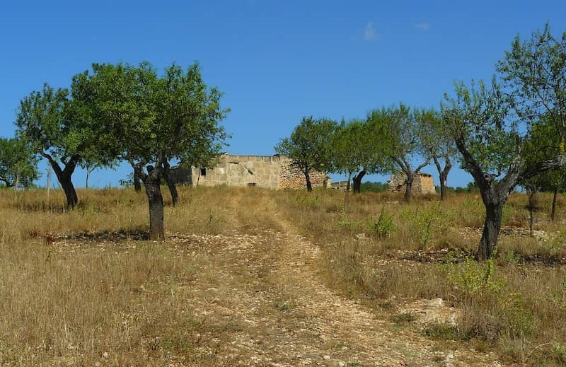 Como vender una finca en Mallorca